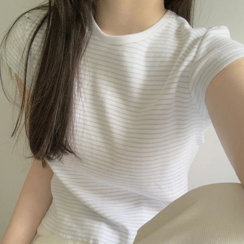 ストライプ 半袖Tシャツ